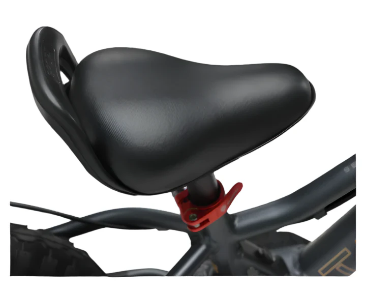 Takani Electric Balance Bike 12'' - TK1224-RS Matte Charcoal - Image 5