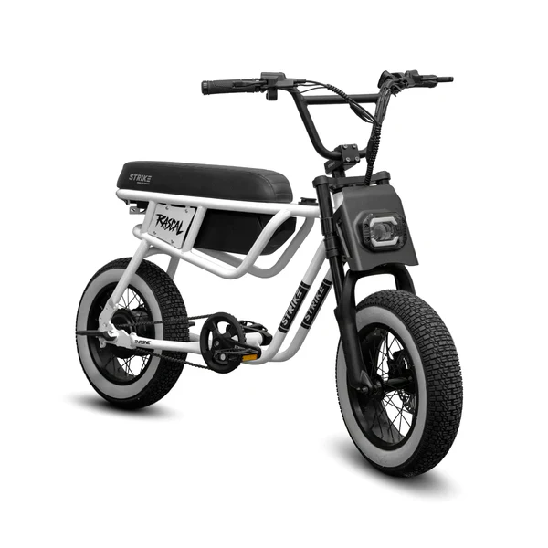 Throne Cycles RASCAL PRE ORDER - Image 3