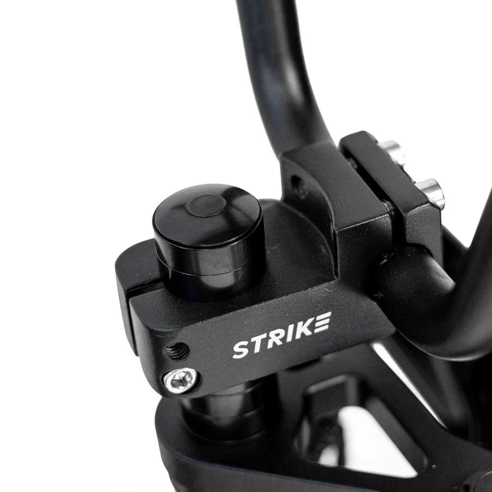 Throne Cycles RASCAL PRE ORDER - Image 5